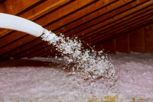 Best Eco-Friendly Insulation in Wind Gap, PA